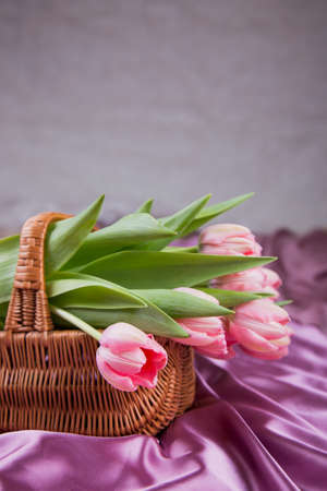 Wicker basket with bouquet of pink tulips.の写真素材