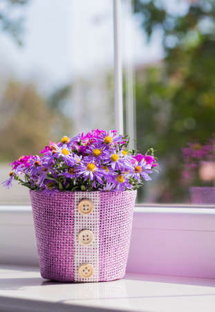 Bunch of small purple chrysanthemums in lilac basket near windowの写真素材