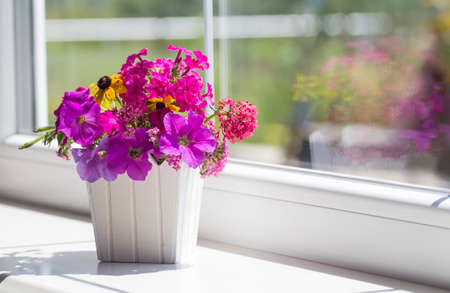 Spring pink flower composition near the window.の写真素材