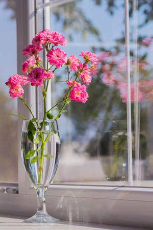 Bouquet of pink roses in glass near window.の写真素材