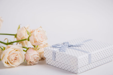 White spotted gift box and creamy roses on white background.