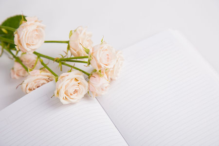 Bouquet of creamy roses lying on open notebook.