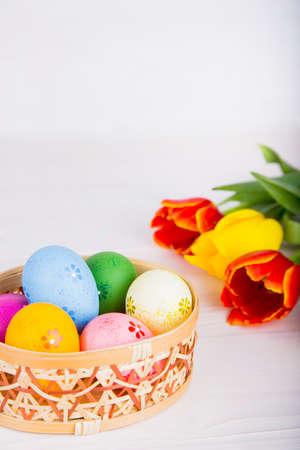 Colorful Easter eggs in wicker basket with tulips on white wooden background.の写真素材