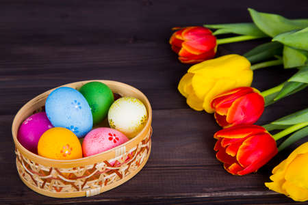 Colorful Easter eggs in wicker basket with tulips on dark wooden background.の写真素材