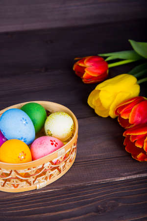 Colorful Easter eggs in wicker basket with tulips on dark wooden background.の写真素材