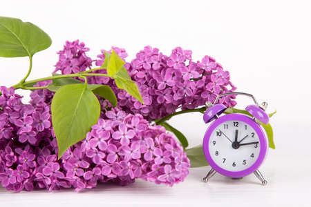 Bouquet of lilac with purple alarm clock on white background.の写真素材