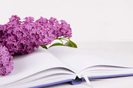 Bouquet of lilac with open notebook on white background.の写真素材