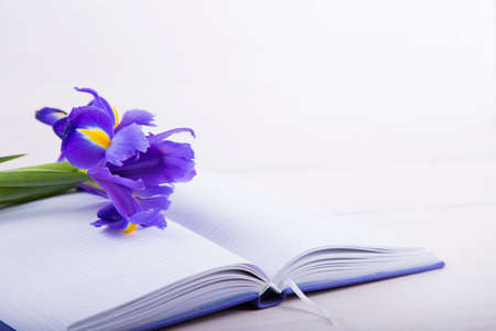 Bouquet of beautiful irises with notebook on white wooden background.の写真素材