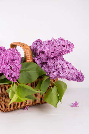 Bouquet of lilac in wicker basket on white background.の写真素材
