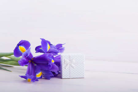 Bouquet of beautiful irises with gift box on white wooden background.の写真素材