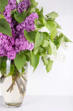 Bouquet of lilac in glass vase on white background.の写真素材