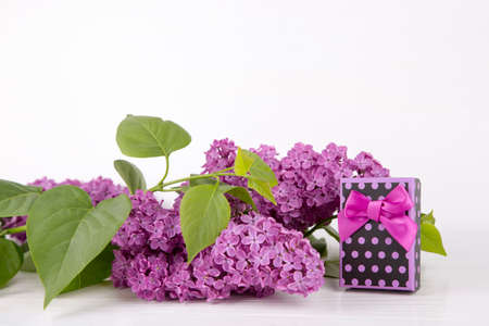 Bouquet of lilac with purple gift box on white background.の写真素材