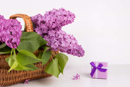 Bouquet of lilac in wicker basket with purple gift box on white background.の写真素材