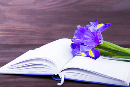 Bouquet of beautiful irises with notebook on dark wooden background.の写真素材