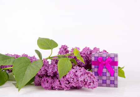 Bouquet of lilac with purple gift box on white background.の写真素材