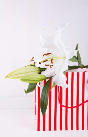 Bouquet of white lilies in striped shopping bag on white background.の写真素材
