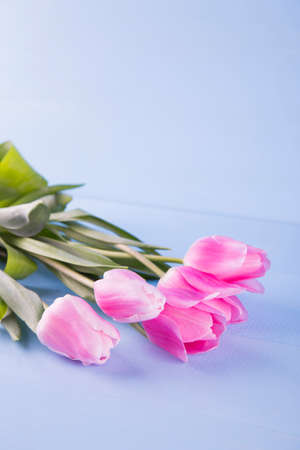 Bouquet of tender pink tulips on light blue wooden background.の写真素材