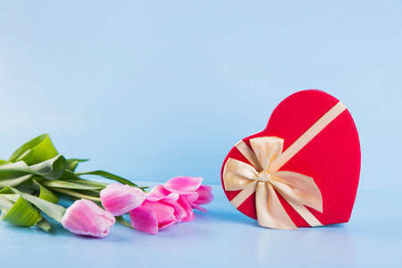 Bouquet of tender pink tulips with red gift box in form of heart on light blue wooden backgroundの写真素材