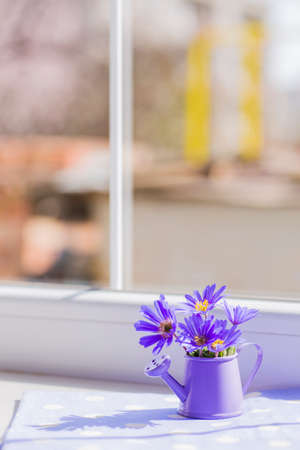 Little purple watering can with spring flowers bouquet near the windowの写真素材