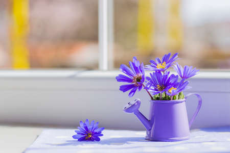 Little purple watering can with spring flowers bouquet near the windowの写真素材
