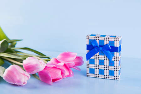 Bouquet of tender pink tulips with blue gift box on light blue wooden backgroundの写真素材