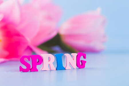 Word Spring made from colorful wooden letters on tender floral backgroundの写真素材