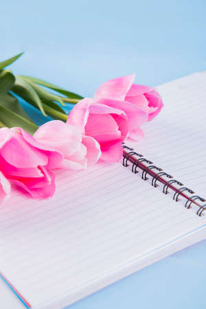 Bouquet of tender pink tulips with open notebook on blue wooden background.の写真素材