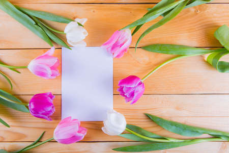 Bouquet of tender pink tulips with clear sheet of white paper on light wooden backgroundの写真素材