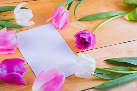 Bouquet of tender pink tulips with clear sheet of white paper on light wooden backgroundの写真素材