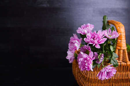 Beautiful bouquet of tender purple chrysanthemum in wicker basket on black wooden background. Spring romantic composition.の写真素材