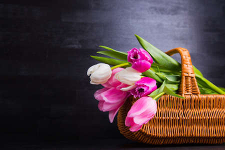 Beautiful bouquet of tender pink and white tulips in wicker basket on black wooden background. Spring romantic composition.の写真素材