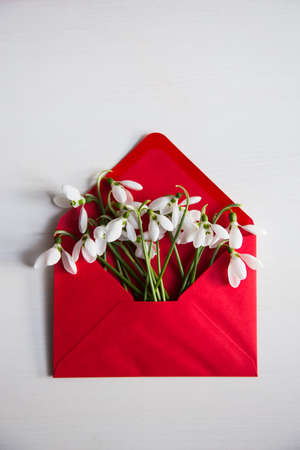 Bouquet of beautiful tender white snowdrops in red envelope on white wooden background. Spring vintage composition.の写真素材