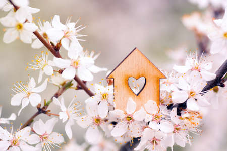 Wooden house with hole in form of heart surrounded by flowering branches of spring trees. Spring composition.の写真素材