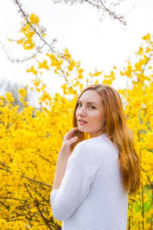 Close-up portrait of beautiful red-haired young woman standing near blooming Forsythia bushes in spring garden.の写真素材