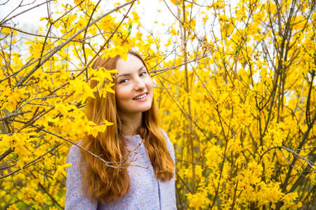 Close-up portrait of beautiful red-haired young woman standing near blooming Forsythia bushes in spring garden.の写真素材
