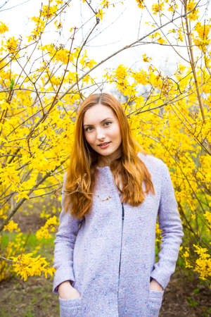 Close-up portrait of beautiful red-haired young woman standing near blooming Forsythia bushes in spring garden.の写真素材