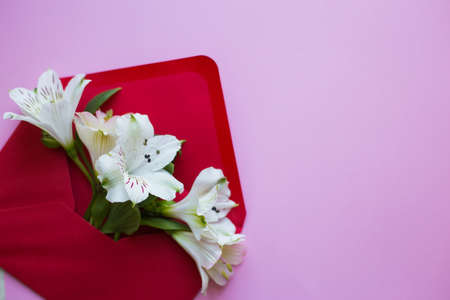 Beautiful tender bouquet of white Alstroemeria in red envelope on pink background. Spring composition. Springtime card.の写真素材