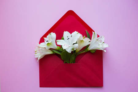 Beautiful tender bouquet of white Alstroemeria in red envelope on pink background. Spring composition. Springtime card.の写真素材