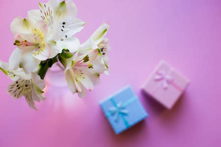 Beautiful tender bouquet of white Alstroemeria with two gift boxes on pink background. Spring composition. Springtime. Mother`s day card.の写真素材