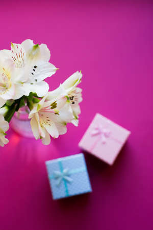 Beautiful tender bouquet of white Alstroemeria with two gift boxes on crimson background. Spring composition. Springtime. Mother`s day card.の写真素材