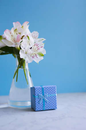 Beautiful tender bouquet of white Alstroemeria with blue gift box on blue background. Spring composition. Springtime. Mother`s day card.の写真素材