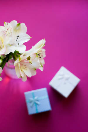 Beautiful tender bouquet of white Alstroemeria with two gift boxes on crimson background. Spring composition. Springtime. Mother`s day card.の写真素材