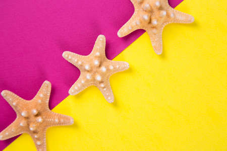 Three starfishes on colored yellow and crimson backgrounds with negative space. Top view. Flat lay in marine style.の写真素材