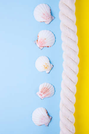 Sea rope and scallop shells on colored yellow and blue backgrounds with negative space. Minimalistic colorful summer background. Top view. Flat lay in marine style.の写真素材
