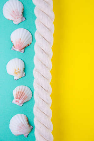 Sea rope and scallop shells on colored yellow and mint green backgrounds with negative space. Minimalistic colorful summer background. Top view. Flat lay in marine style.の写真素材