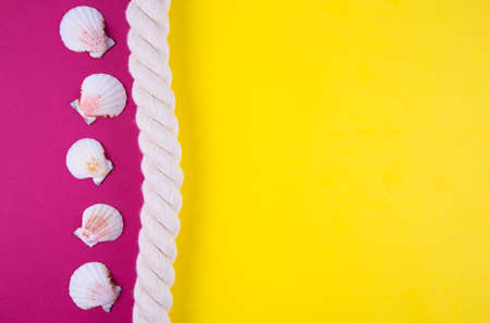 Sea rope and scallop shells on colored yellow and crimson backgrounds with negative space. Minimalistic colorful summer background. Top view. Flat lay in marine style.の写真素材