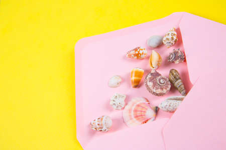 Pink envelope with sea shells on colored yellow background. Summer minimalistic card. Top view. Sea flat lay.の写真素材