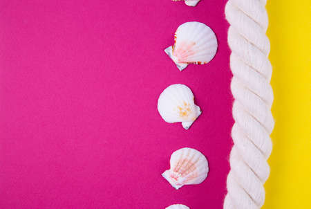 Sea rope and scallop shells on colored yellow and crimson backgrounds with negative space. Minimalistic colorful summer background. Top view. Flat lay in marine style.の写真素材