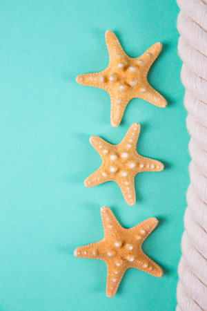 Three starfishes and sea rope on colored mint green background with negative space. Minimalistic colorful summer background. Top view. Flat lay in marine style.の写真素材