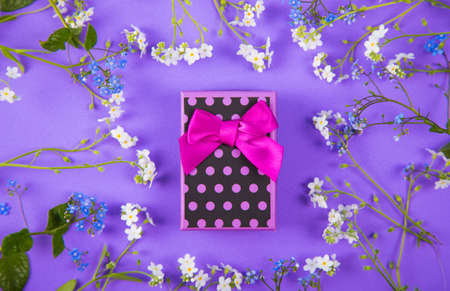 Violet gift box surrounded with blue and white little flowers on purple background. Spring present with flower frame.の写真素材